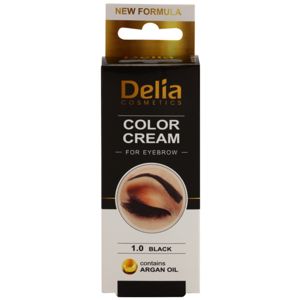 Delia Cosmetics Argan Oil szemöldökfesték árnyalat 1.0 Black 15 ml
