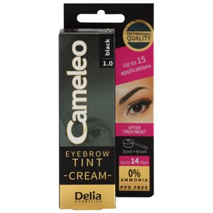 Delia Cosmetics Cameleo professzionális krémes festék a szemöldökre ammónia nélkül árnyalat 1.0 Black 15 ml