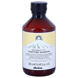 Davines Naturaltech Purifying Shampoo tisztító sampon korpásodás ellen 250 ml