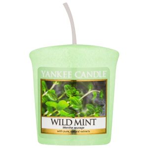Yankee Candle Wild Mint viaszos gyertya 49 g