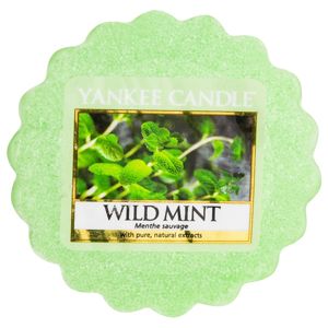 Yankee Candle Wild Mint illatos viasz aromalámpába 22 g